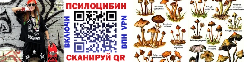 Псилоцибиновые грибы GOLDEN TEACHER  наркошоп  Тбилисская 