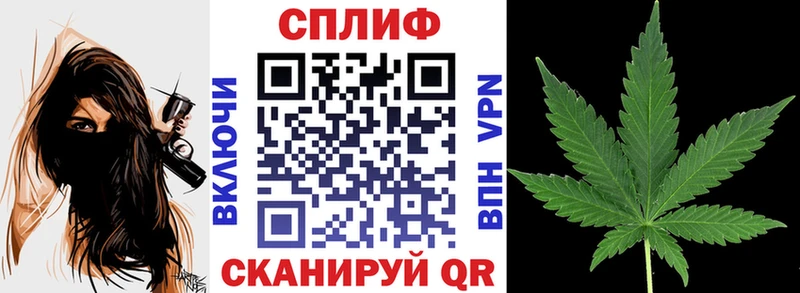 МАРИХУАНА Ganja  дарк нет наркотические препараты  Тбилисская 